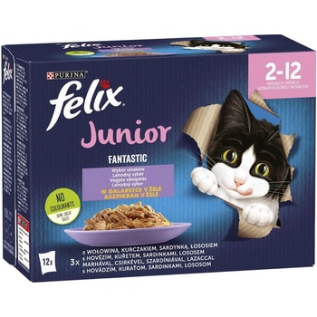 Felix Junior Fantastic lahodný výber v želé 72 x 85 g