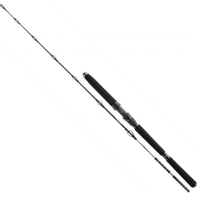 Daiwa BG Deep Sea XXH 2,2 m 150-400 g 2 diely