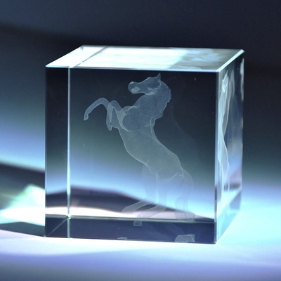 3D kůň ve skleněné krychli 60 mm