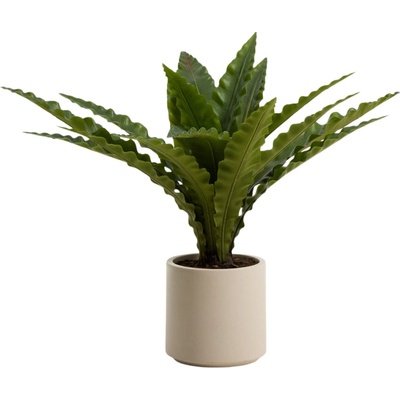 Kave Home Umělá květina Neottopteris 70 cm
