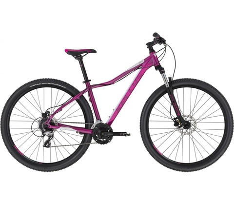 Kellys Vanity 50 2020