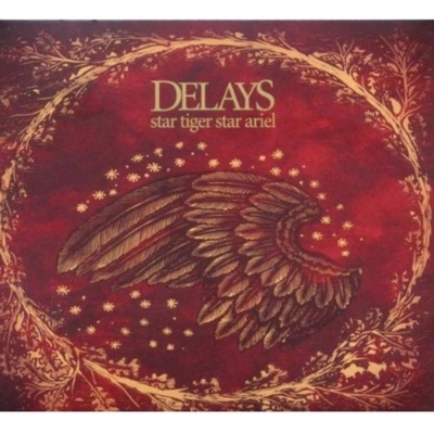 DELAYS - STAR TIGER STAR ARIEL