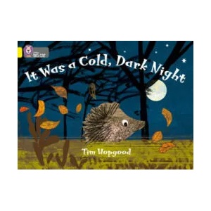 It Was a Cold Dark Night | Tim Hopgood (2010)