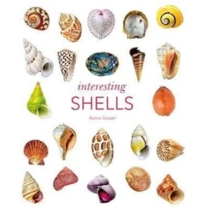 Interesting Shells (ISBN: 9780565095109)