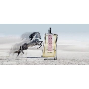 Morph Indomable Extrait de Parfum 100 ml