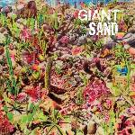 Giant Sand - Returns To Valley Of Rain (LP) (0809236153418)