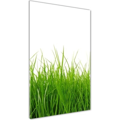 Vertikálny fotoobraz na skle Zelená tráva 50x100 cm