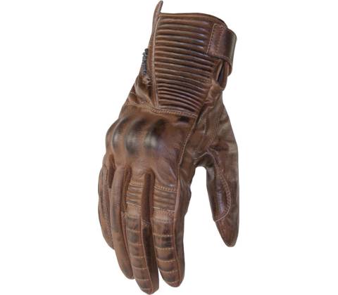Trilobite Café