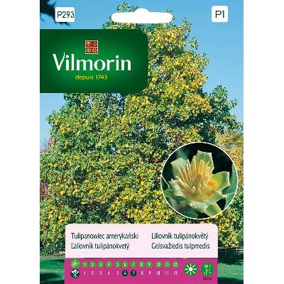 Liliovník tulipánokvětý Vilmorin Premium 0,3 g