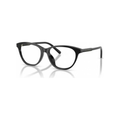 Dolce & Gabbana Dx 3002 501
