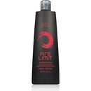 Bes Color Reflection Shampoo Fire Limit 300 ml
