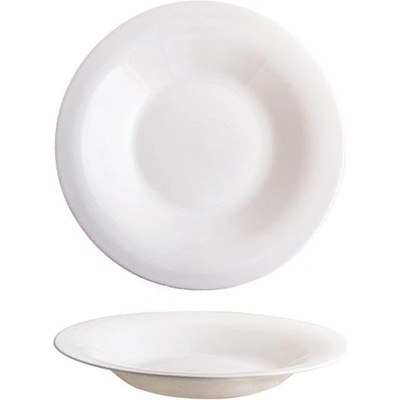 TORO talíř POLÉVKOVÝ ELBA OPÁLOVÉ SKLO 24 cm