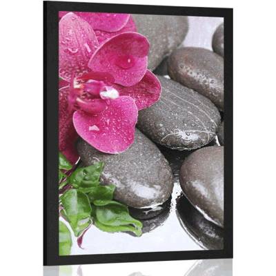 Plakát kvetoucí orchidej a wellness kameny - 20x30 no frame