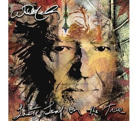Willie Nelson Last Leaf onThe Tree CD