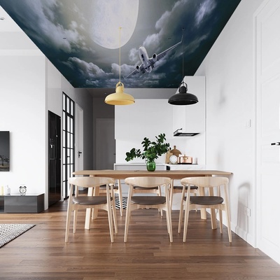 Art Gift Decor Фототапет за таван Самолетен полет
