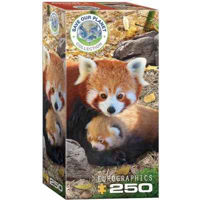 EUROGRAPHICS - Puzzle Save the Planet - Red Pandas 250 - 250 piese