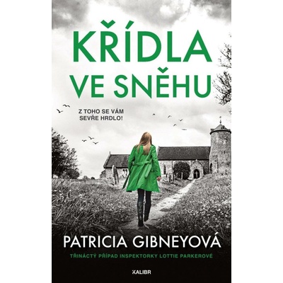 Křídla ve sněhu