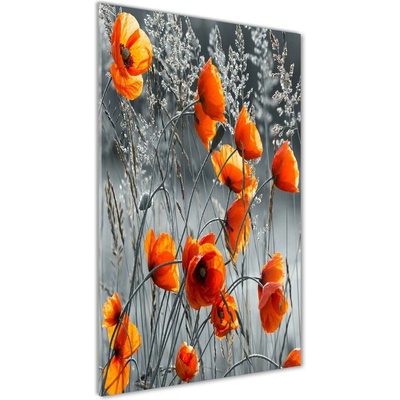 Vertikálny fotoobraz na skle Polné maky 50x100 cm