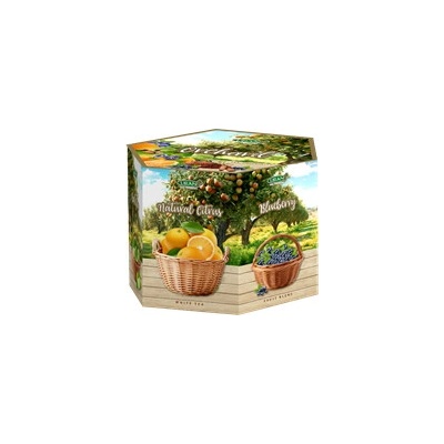 NAZZARE kolekce čajů ORCHARD 8 x 6 x 1,5 g