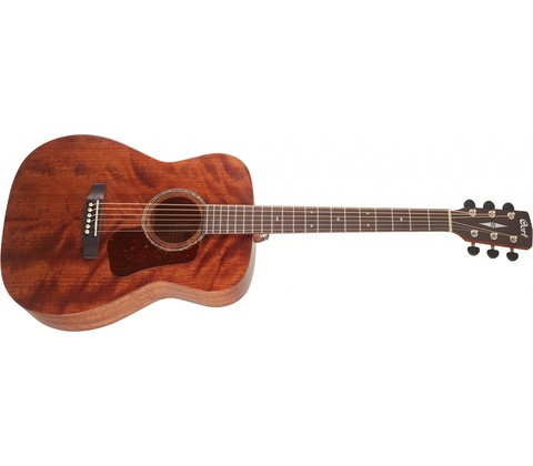 Cort L450C
