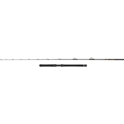 Penn Regiment IV Halibuster 2,40 m 30-50 lb 2 Diely