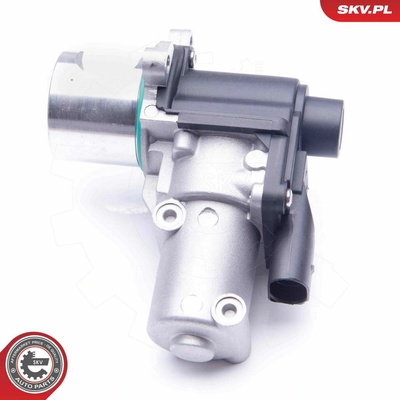 AGR-Ventil ESEN SKV 14SKV164