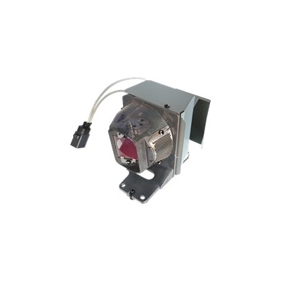 Lampa pro projektor Optoma GT1080HDR, originální lampa s modulem