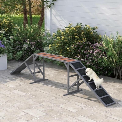 PawHut Agility rampa pro psy 325x55x60 cm