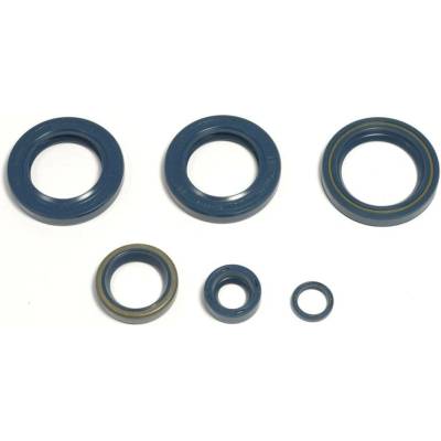 Sada gufer motoru ATHENA P400270400051