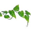 Lucky Reptile Jungle Vine Philo Vine ca. 200 cm