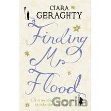 Finding Mr. Flood - Ciara Geraghty
