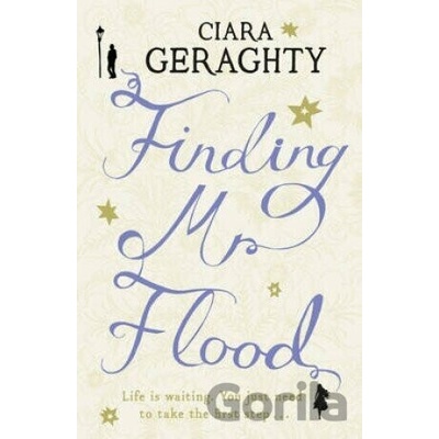 Finding Mr. Flood - Ciara Geraghty