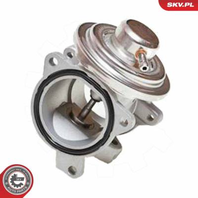 AGR-Ventil ESEN SKV 14SKV034