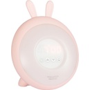 Rabbit & Friends 5073_RUZ