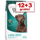 Concept for Life Large Junior 12 kg