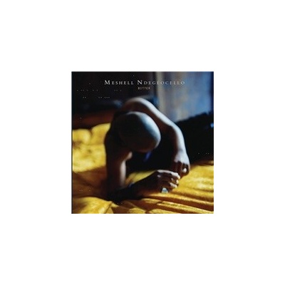 NDEGEOCELLO, ME\'SHELL - BITTER LP