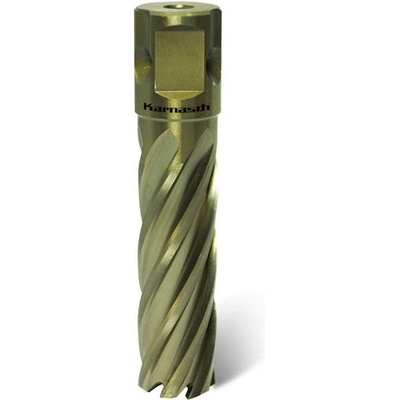 Karnasch 38720.1270U59