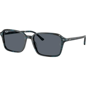 Ray-Ban Raimond RB2231 1417R5 Слънчеви очила
