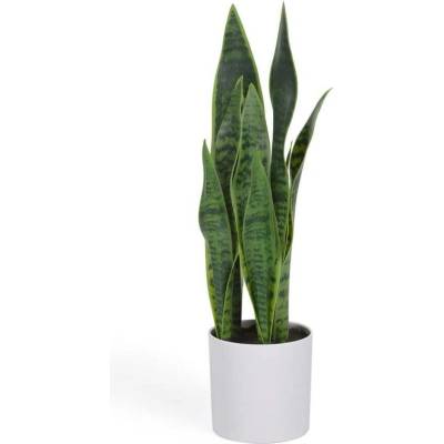 Umelá rastlina (výška 55 cm) Sansevieria – Kave Home