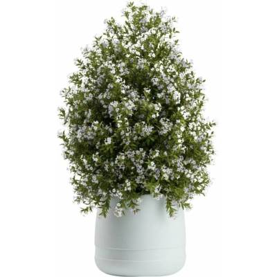 HowHomely PLASTOVÝ KVETINÁČ LUNA VASE 42X32 CM BIELA