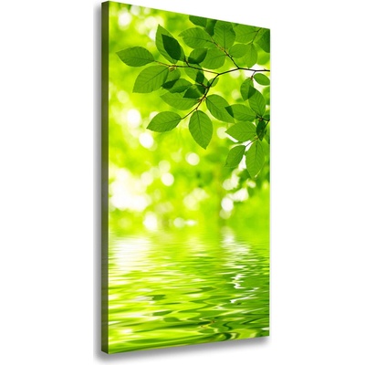 Vertikálny foto obraz na plátne Zelené lístie 50x100 cm