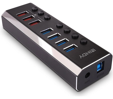 Lindy 43371
