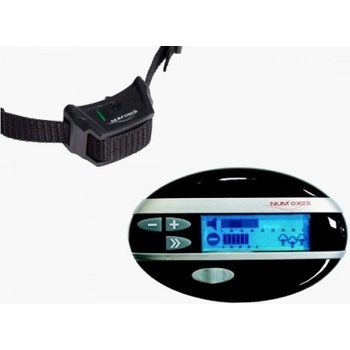 Canifugue Rádiový plot 2015