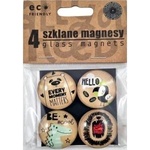 Fandy Glass magnets with color printing 4pcs
