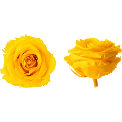 Hlavy ruží - premium 4 ks Yellow - žltá