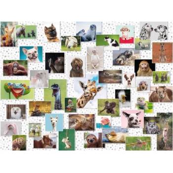 Image 1 of Ravensburger - Puzzle Fun pets 1500 - 1 500 piese