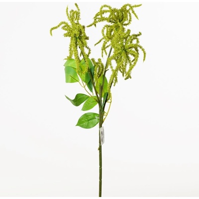 KONÁR AMATANTHUS ZELENÝ 50cm