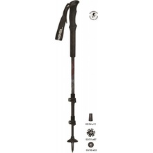 Gabel T Equipe carbon tour FL