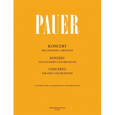 Koncert pro lesní roh a orchestr