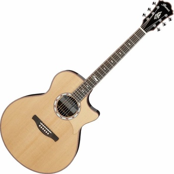 Ibanez MRC10-NT